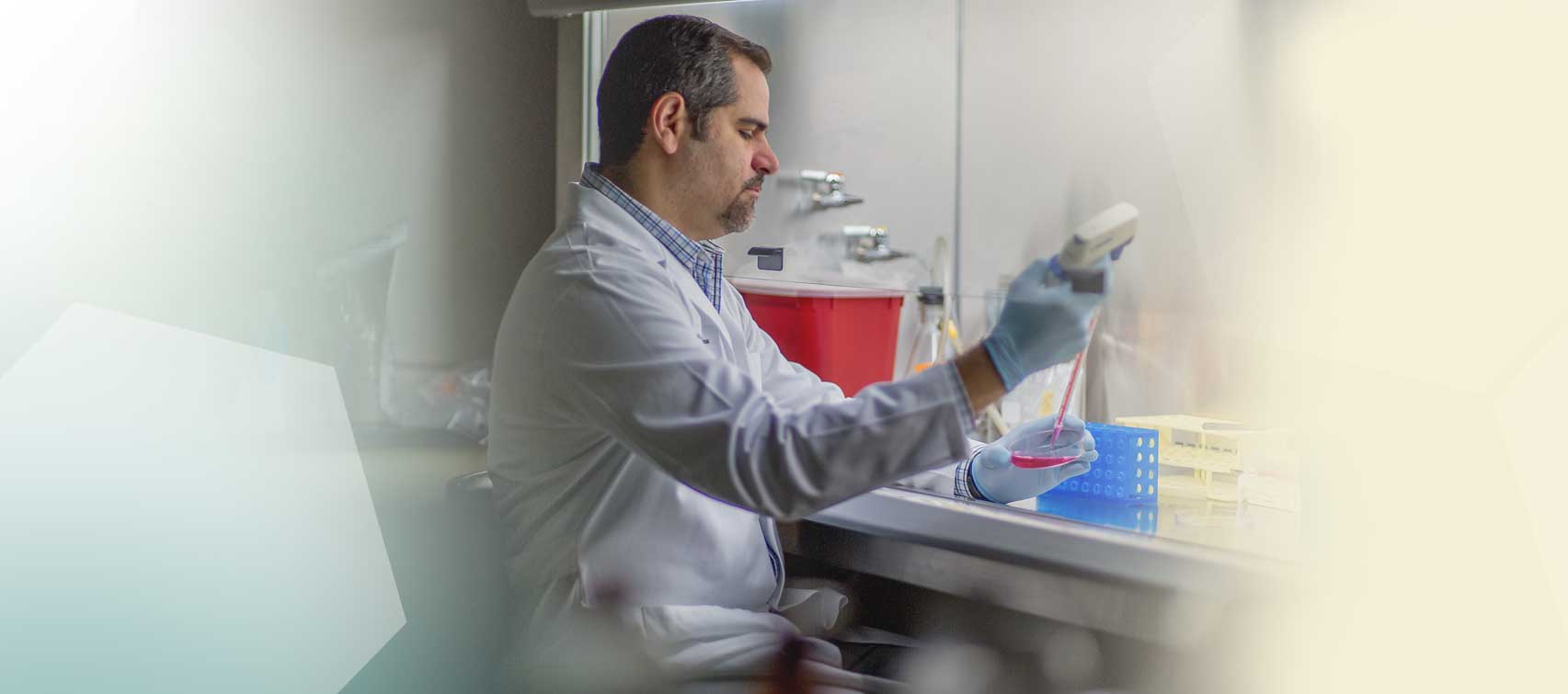 Dr. Anibal Diogenes, D.D.S., Ph.D.