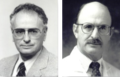 James L. Bugg - David L. King Endowment in Pediatric Dentistry