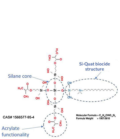 Chemical structure of K18 QAS functionalized methacrylate.</p>Image Source: “FiteBac® AntimicrobialCavity Cleanser.” <i>FiteBac Dental</i>, fitebacdental.com/product-line/fitebac-antimicrobial-cavity-cleanser/.