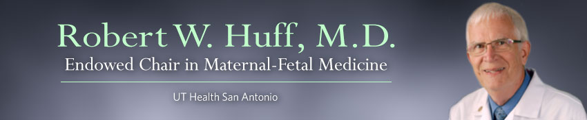 Robert W. Huff, M.D. Endowed Chair in Maternal-Fetal Medicine