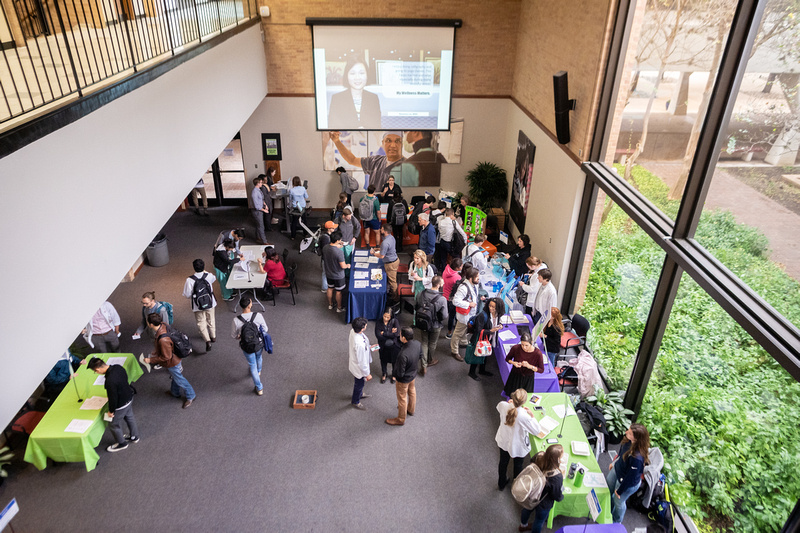 Overview of Wellness Fair